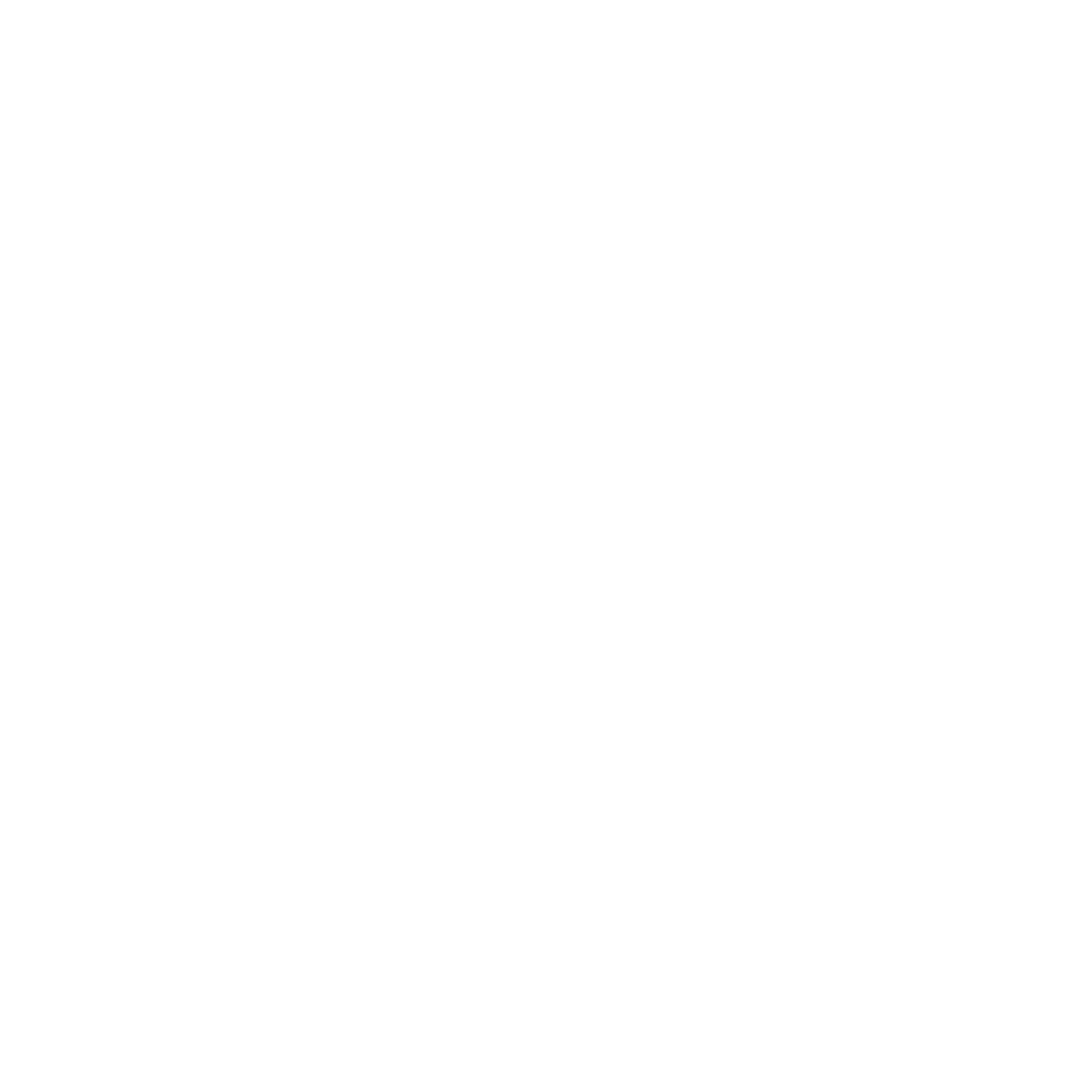 Stylised cat illustration